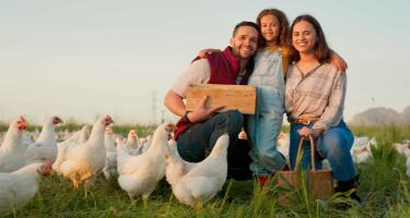Latino family of chicken farmers in a field with their chickens