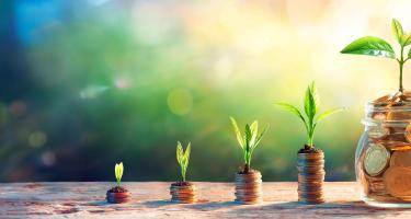 Illustration of small plants growing on top of piles of coins