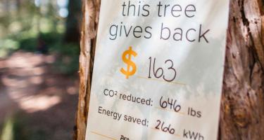 A sign on a tree reads, “This tree gives back,” and lists $16.3, 646 lbs of CO₂ reduced, and 2,660 kWh of energy saved.
