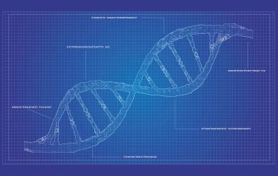 DNA image