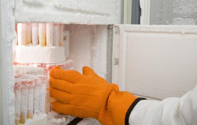 Ultra-Low Freezer Replacement Program
