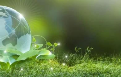 A globe on grass