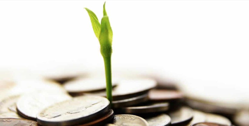 Sprout growing up through coins