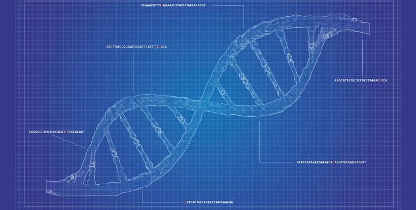 DNA image