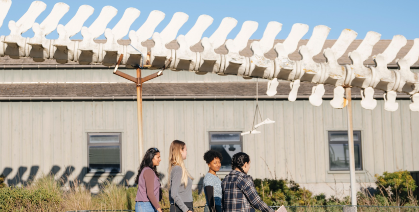 Students walking past a building under a large dinosaur spine model